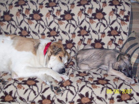 Odpoczynek z dużą ciocią